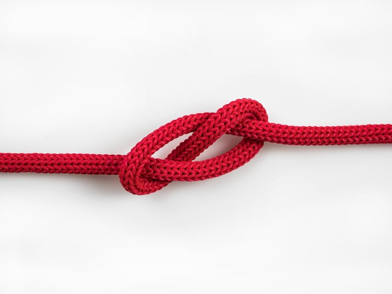 Celestial Knot